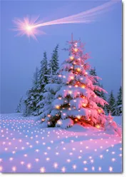 Winter- und Weihnachtsmotive