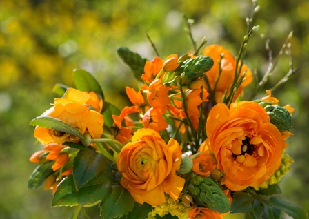 fr-hlingsblumen-web.jpeg
