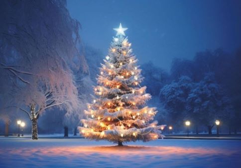 winter-im-park.jpeg