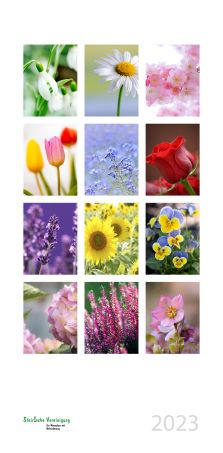 wandkalender-blumen-23-web.jpeg